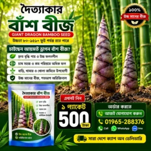 দৈত্যাকার বাঁশ বীজ 1 প্যাকেট - 500 টাকা