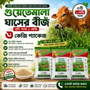 গুয়াতেমালা ঘাসের বীজ – ৩ কেজি